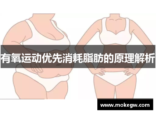 有氧运动优先消耗脂肪的原理解析