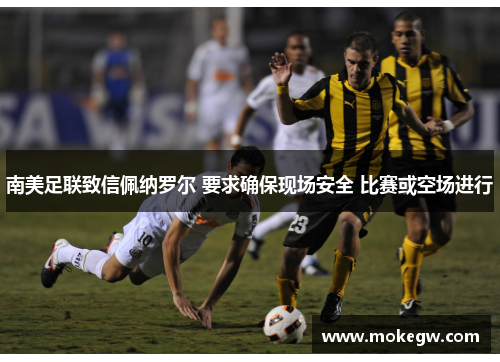 南美足联致信佩纳罗尔 要求确保现场安全 比赛或空场进行